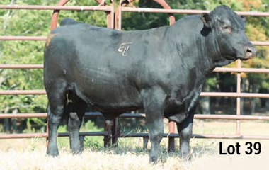 Lot 39 - TJB 149X SNM 505C ET